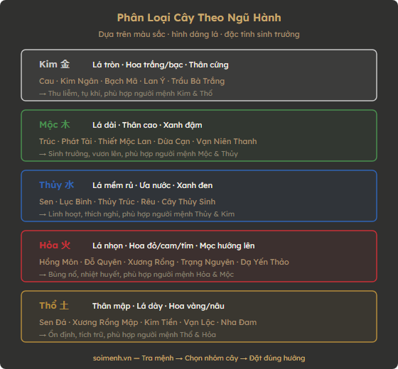 Sơ đồ phân loại cây phong thủy theo 5 hành Kim Mộc Thủy Hỏa Thổ