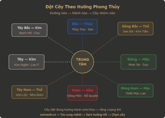 Sơ đồ 8 hướng đặt cây phong thủy theo hành