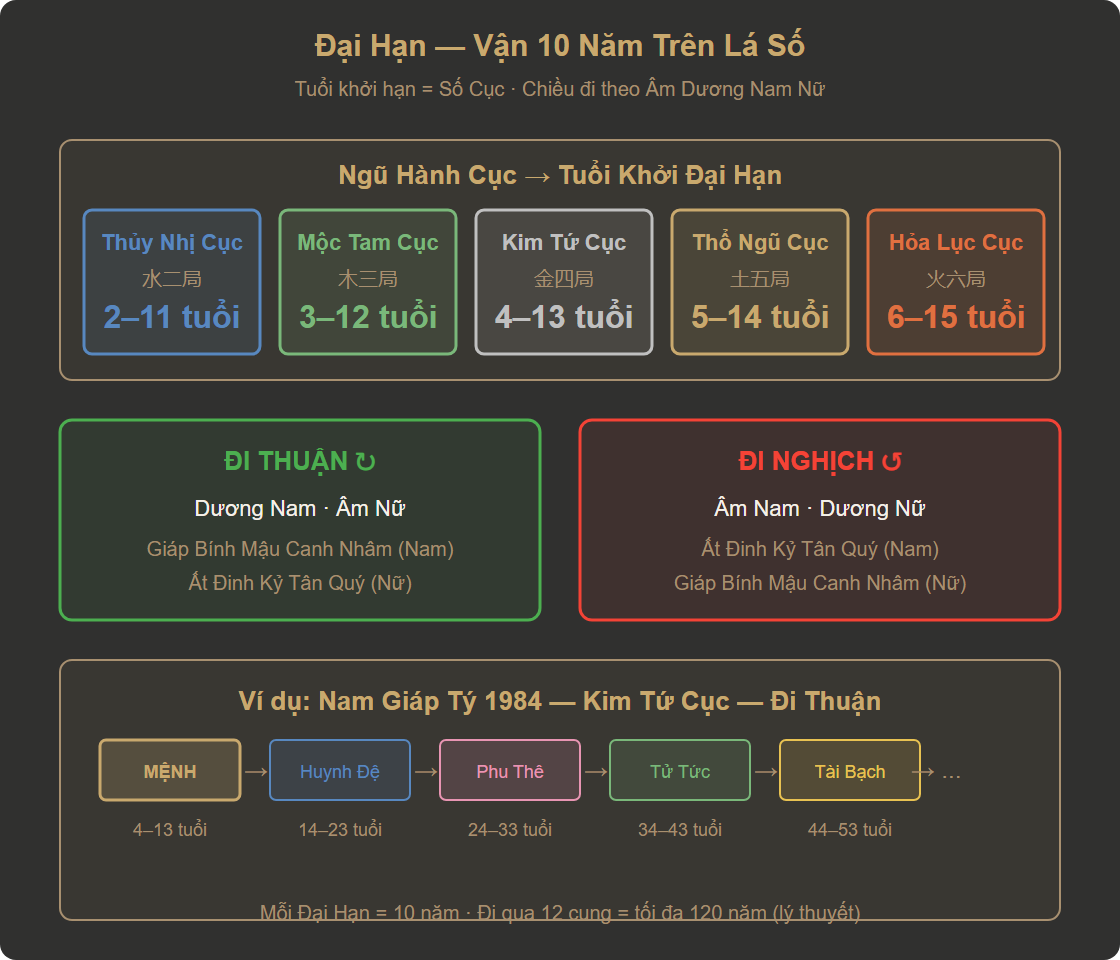 Sơ đồ Đại Hạn trên lá số Tử Vi — 10 năm mỗi cung