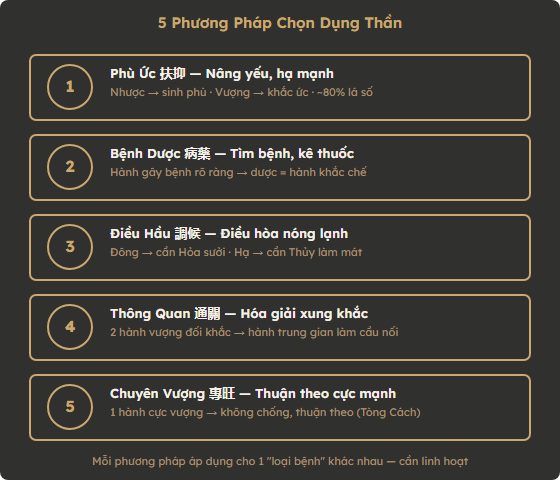 5 phương pháp chọn Dụng Thần: Phù Ức, Bệnh Dược, Điều Hầu, Thông Quan, Chuyên Vượng