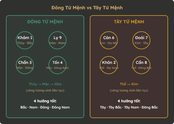 Sơ đồ Đông Tứ Mệnh và Tây Tứ Mệnh — 8 cung mệnh chia 2 nhóm