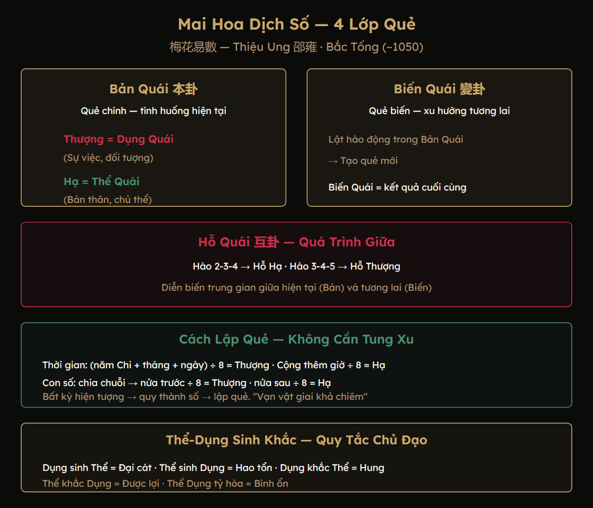 Sơ đồ Mai Hoa Dịch Số: Bản Quái, Hỗ Quái, Biến Quái