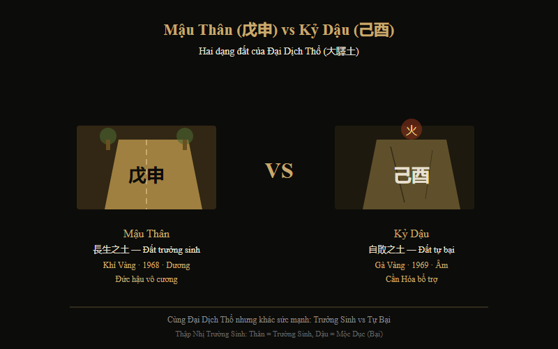 So sánh Mậu Thân và Kỷ Dậu trong mệnh Đại Dịch Thổ