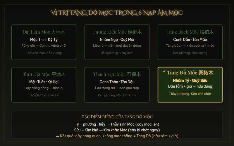 Sơ đồ vị trí Tang Đố Mộc trong 6 Nạp Âm Mộc — Mộc sinh từ Thủy, bị Kim chặt