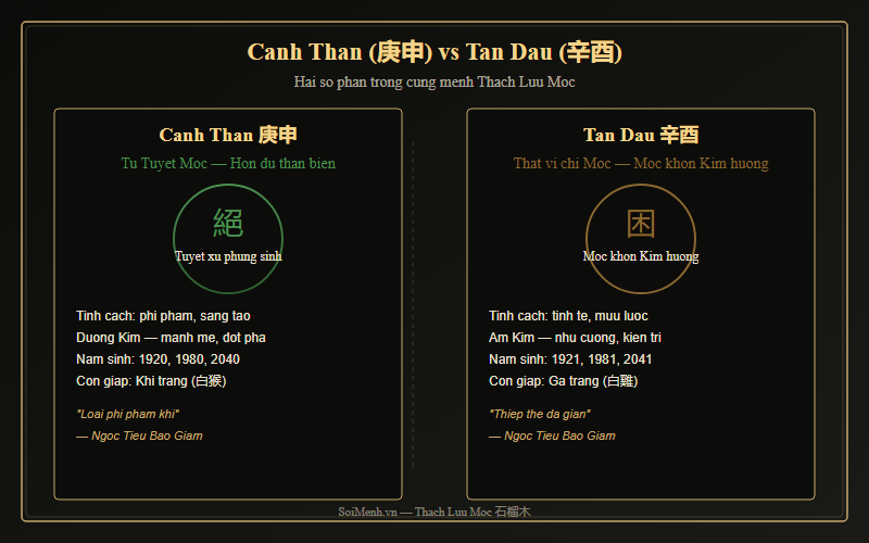 So sánh Canh Thân và Tân Dậu trong mệnh Thạch Lựu Mộc
