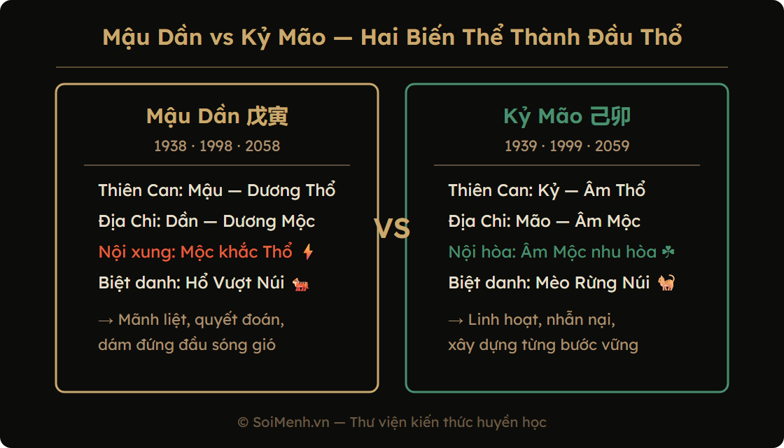 Cơ chế hóa giải Mộc khắc Thổ qua Hỏa thông quan