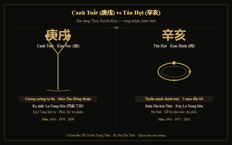Biểu đồ Canh Tuất (Kim Suy) và Tân Hợi (Kim Bệnh) — Thoa Xuyến Kim