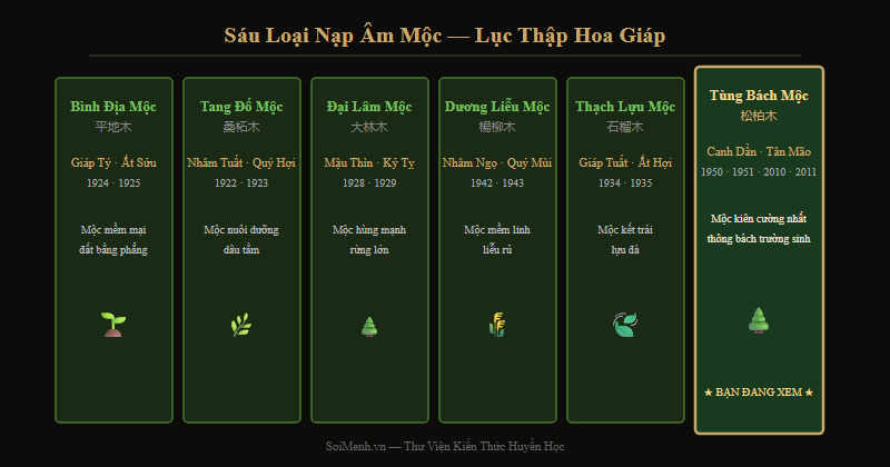 Sơ đồ 6 loại nạp âm Mộc và vị trí Tùng Bách Mộc