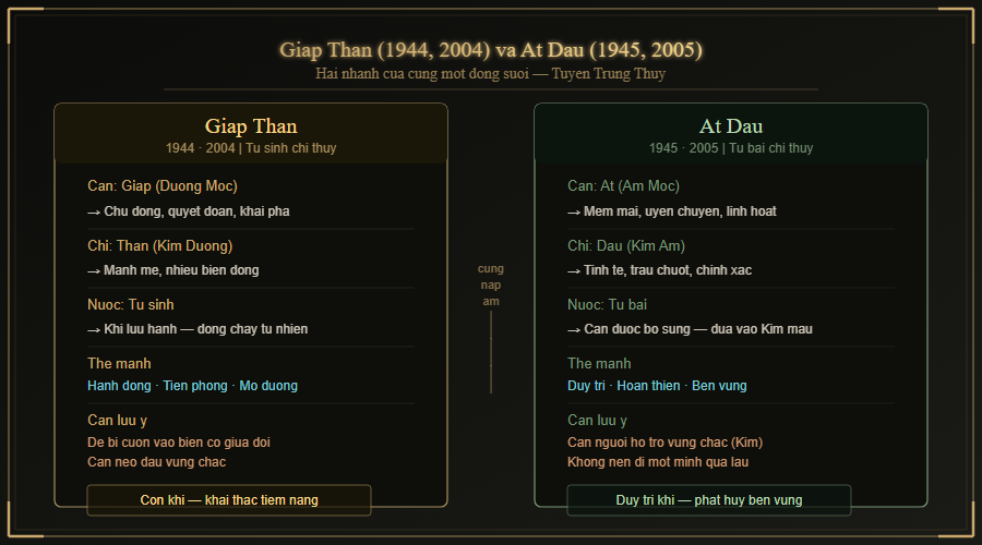 So sánh Giáp Thân và Ất Dậu trong mệnh Tuyền Trung Thủy — bảng đặc điểm hai nhánh cùng nạp âm