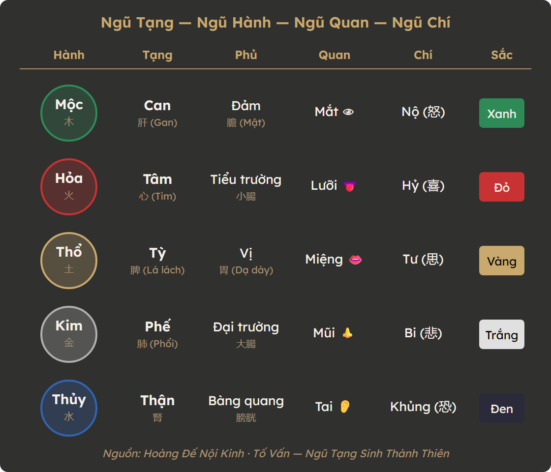 Bảng tổng hợp Ngũ Tạng — Ngũ Hành — Ngũ Quan — Ngũ Chí — Ngũ Sắc