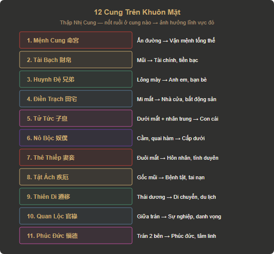 Sơ đồ 12 Cung trên khuôn mặt — Thập Nhị Cung tướng học