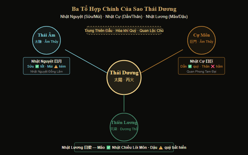 Sơ đồ tổ hợp Sao Thái Dương với các chính tinh — Nhật Nguyệt, Nhật Cự, Nhật Lương và cách cục đặc biệt
