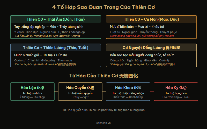 Sơ đồ các tổ hợp sao quan trọng của Thiên Cơ — Cơ Âm, Cơ Cự, Cơ Lương và Cơ Nguyệt Đồng Lương