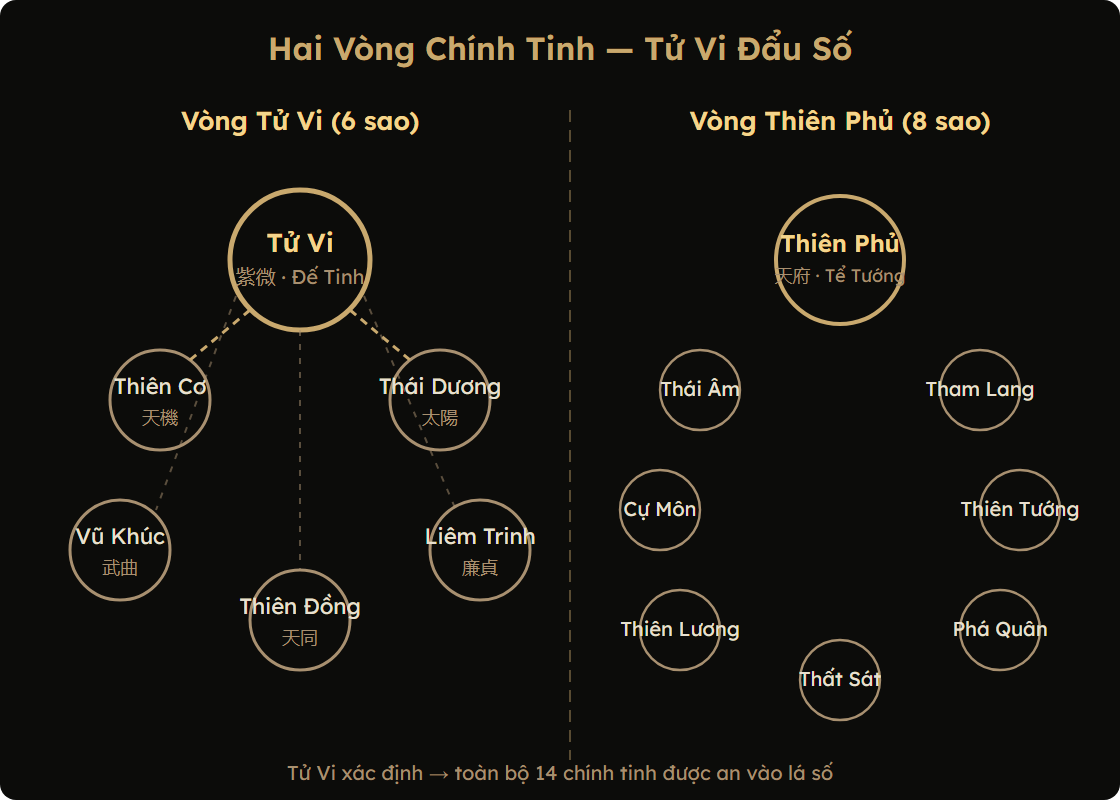 Sơ đồ vị trí Sao Tử Vi trong hệ thống 14 chính tinh — vòng Tử Vi và vòng Thiên Phủ
