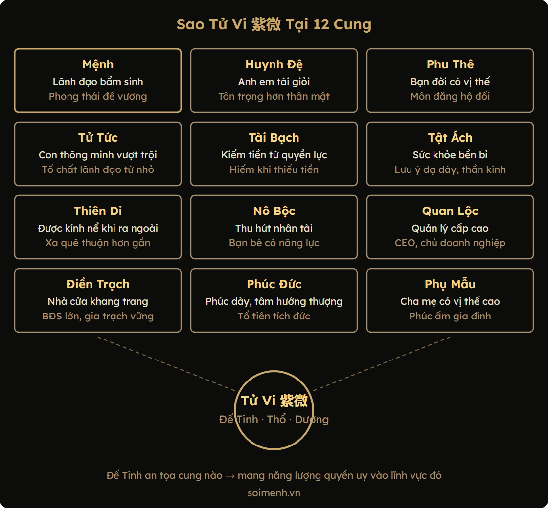 Sơ đồ Sao Tử Vi tại 12 cung — tóm tắt ý nghĩa chính