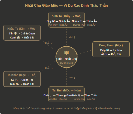 Ví dụ xác định Thập Thần từ Nhật Chủ Giáp Mộc
