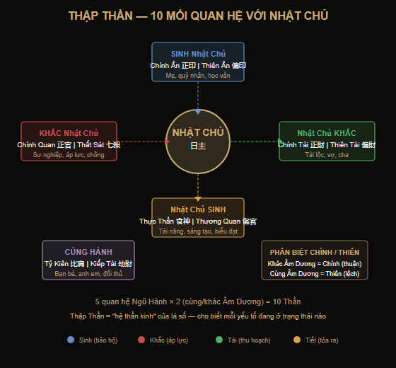 Sơ đồ Thập Thần — 10 mối quan hệ Ngũ Hành với Nhật Chủ