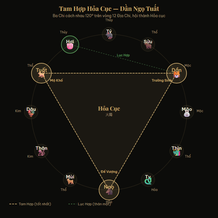 Sơ đồ Tam Hợp Hỏa cục — Dần Ngọ Tuất trên vòng 12 Địa Chi