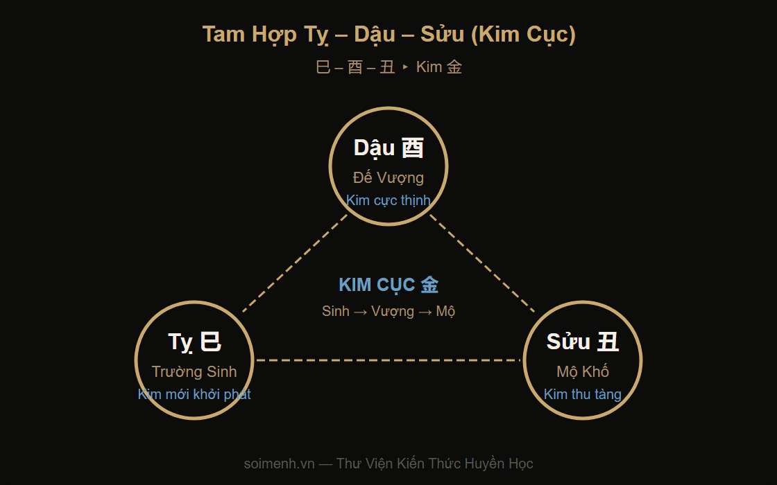 Sơ đồ Tam Hợp Tỵ Dậu Sửu — Kim cục trong 12 Địa Chi