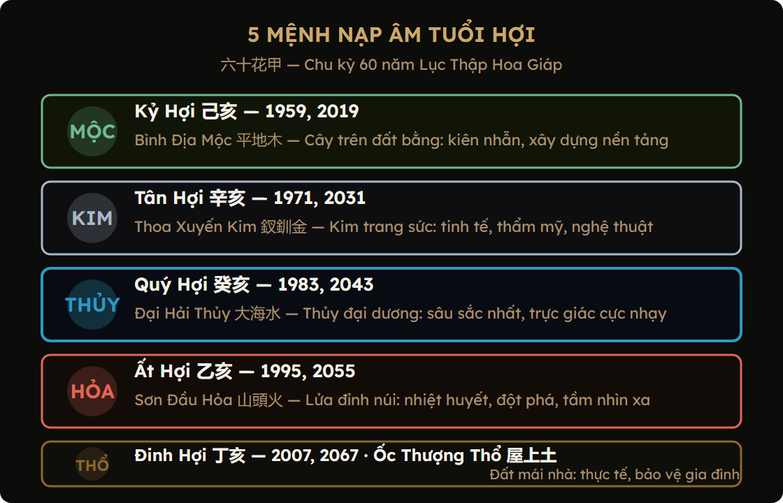 Sơ đồ 5 mệnh Nạp Âm tuổi Hợi — Bình Địa Mộc, Thoa Xuyến Kim, Đại Hải Thủy, Sơn Đầu Hỏa, Ốc Thượng Thổ