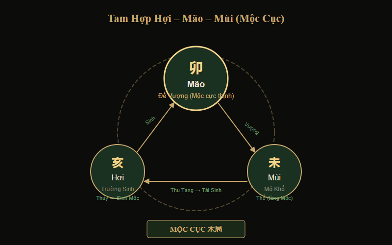 Sơ đồ Tam Hợp Hợi Mão Mùi — Mộc cục trong 12 Địa Chi