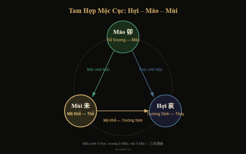 Sơ đồ Tam Hợp Hợi Mão Mùi — Mộc cục trong 12 Địa Chi