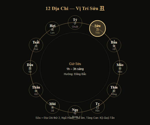 Sơ đồ vị trí Sửu trong 12 Địa Chi