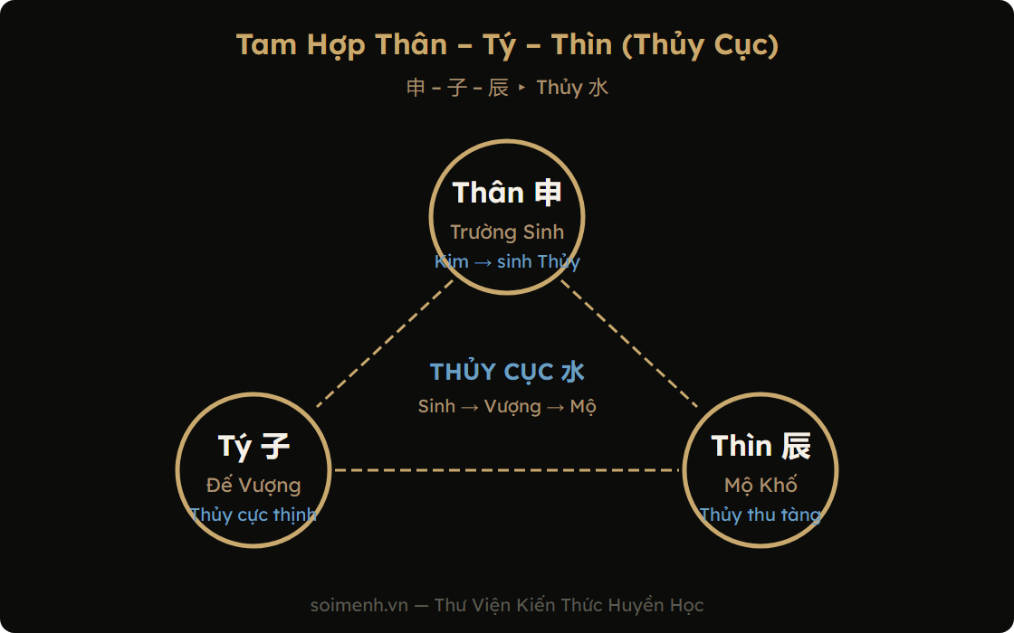 Sơ đồ Tam Hợp Thân Tý Thìn — Thủy cục trong 12 Địa Chi