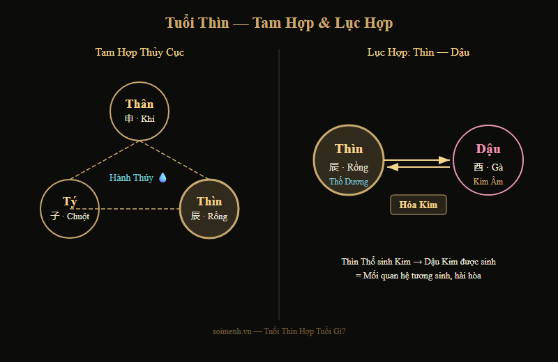 Sơ đồ 12 Địa Chi trên vòng tròn — Tam Hợp, Lục Hợp, Lục Xung của tuổi Thìn