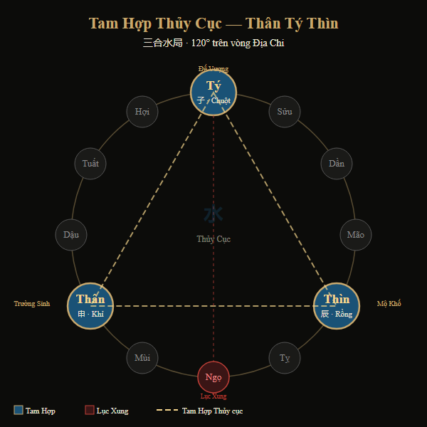 Sơ đồ Tam Hợp Thủy cục — Thân Tý Thìn trên vòng 12 Địa Chi
