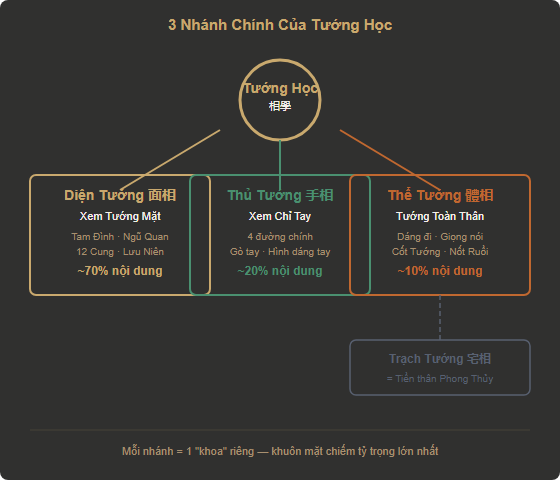 Sơ đồ 3 nhánh chính của Tướng Học: Diện Tướng 70%, Thủ Tướng 20%, Thể Tướng 10%