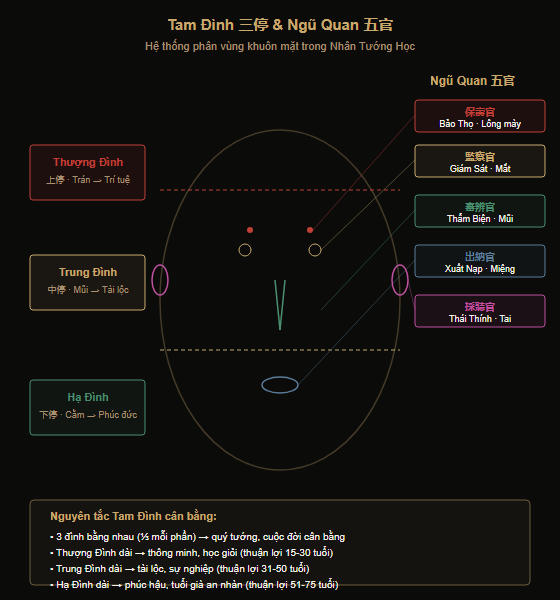 Sơ đồ Tam Đình và Ngũ Quan trên khuôn mặt