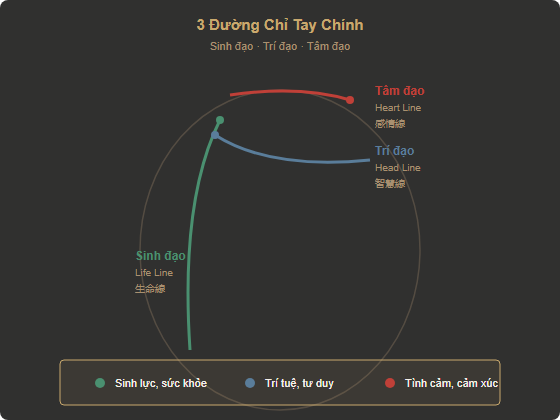 Sơ đồ 3 đường chỉ tay chính — Sinh đạo, Trí đạo, Tâm đạo