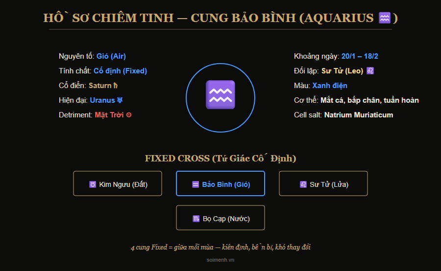 Hồ sơ chiêm tinh cung Bảo Bình — nguyên tố, hành tinh, phẩm chất