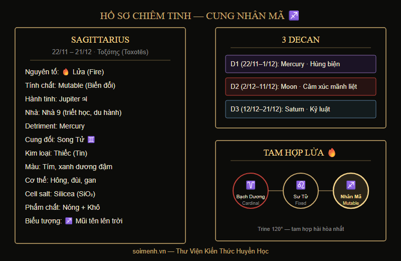 Hồ sơ chiêm tinh cung Nhân Mã — nguyên tố Lửa, Mutable, Jupiter