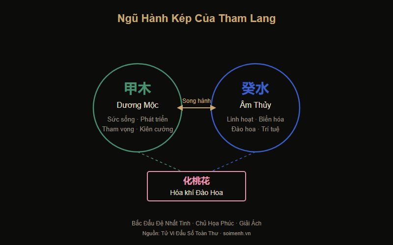 Ngũ hành kép của sao Tham Lang: Dương Mộc và Âm Thủy