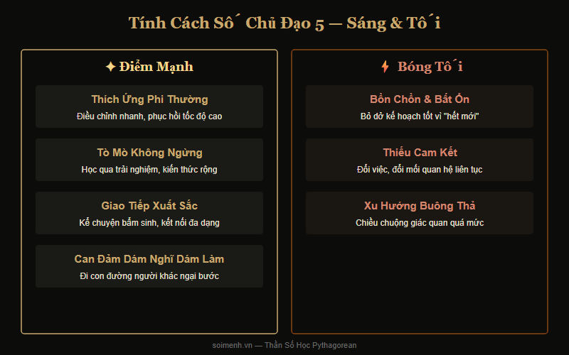 Tính cách Số Chủ Đạo 5 — Điểm mạnh và Bóng tối