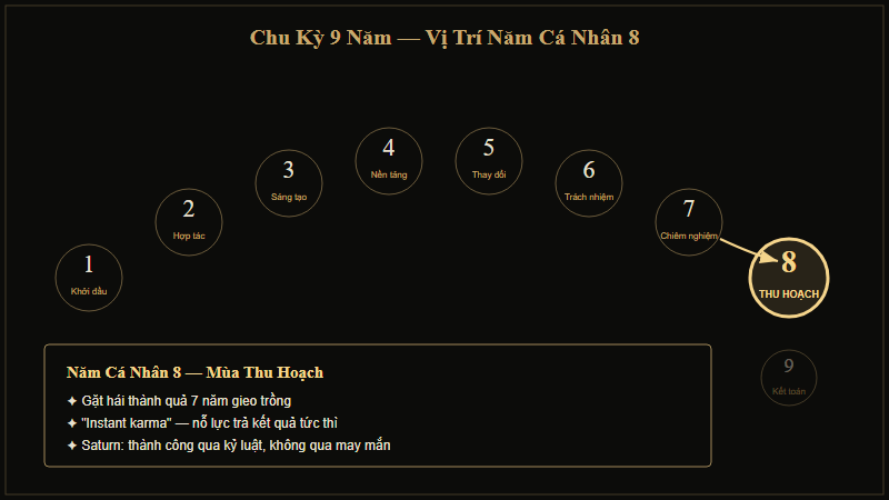 Chu kỳ 9 năm — Vị trí Năm Cá Nhân 8