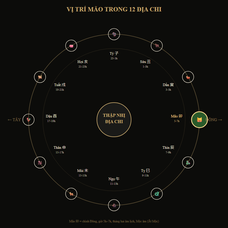 Sơ đồ vị trí Mão trong 12 Địa Chi và giờ Mão