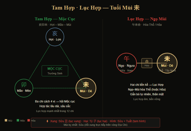 Sơ đồ Tam Hợp Hợi-Mão-Mùi và Lục Hợp Ngọ-Mùi