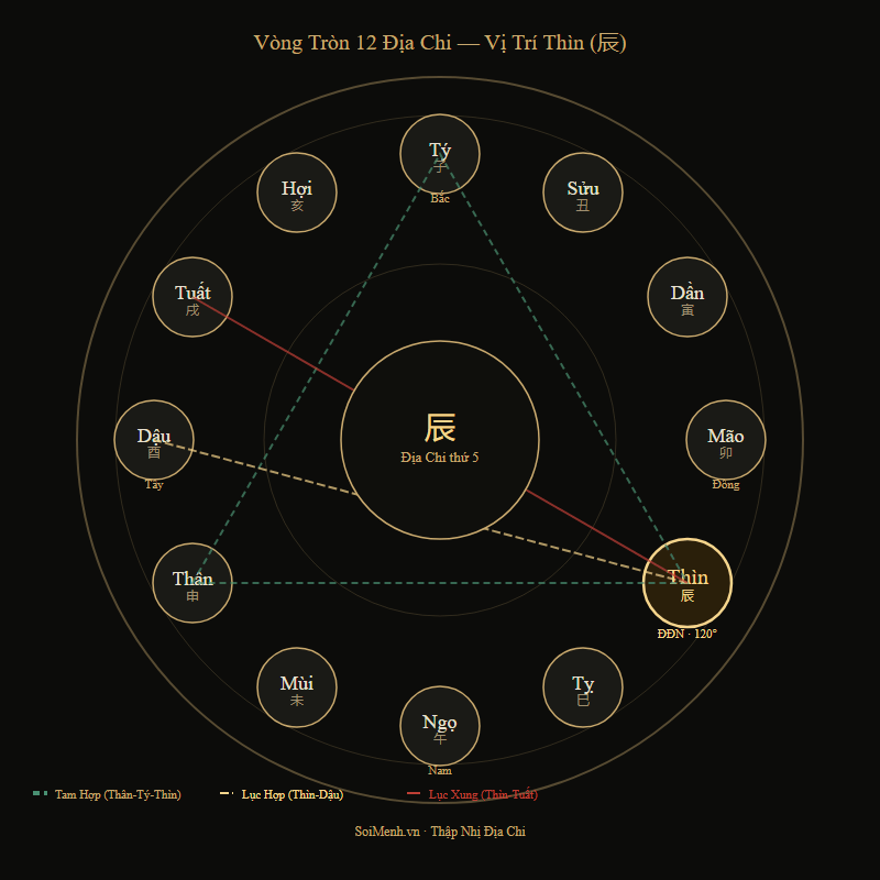 Vòng tròn 12 Địa Chi — vị trí Thìn thứ 5