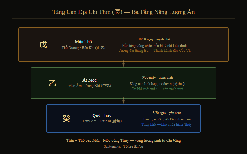 Tàng can của Địa Chi Thìn — Mậu Thổ, Ất Mộc, Quý Thủy