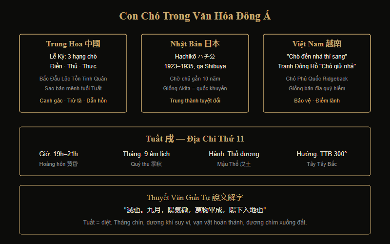 Con chó trong văn hóa Đông Á — từ Lễ Ký đến Hachiko