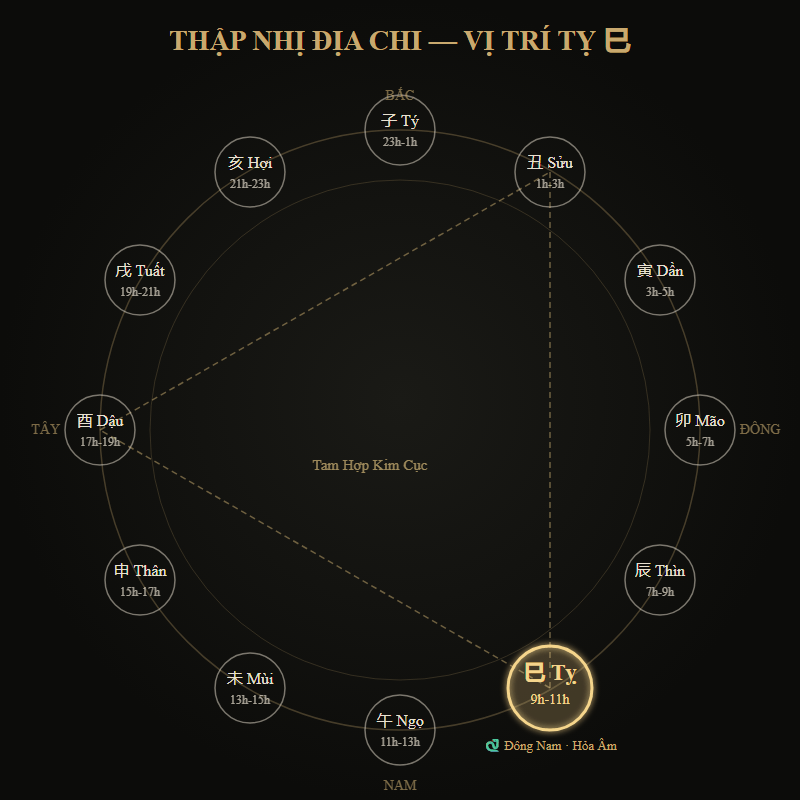 Sơ đồ vị trí Tỵ trong 12 Địa Chi và giờ Tỵ