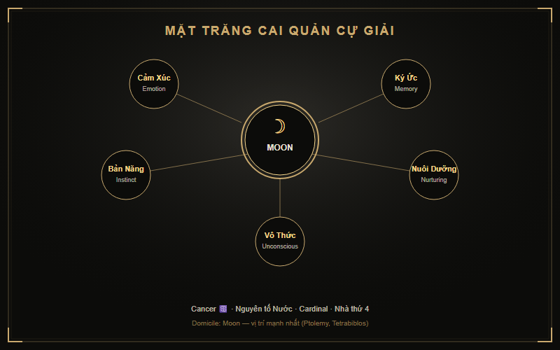Cung Cự Giải trong tình yêu — biểu tượng con cua và ánh trăng trên mặt nước