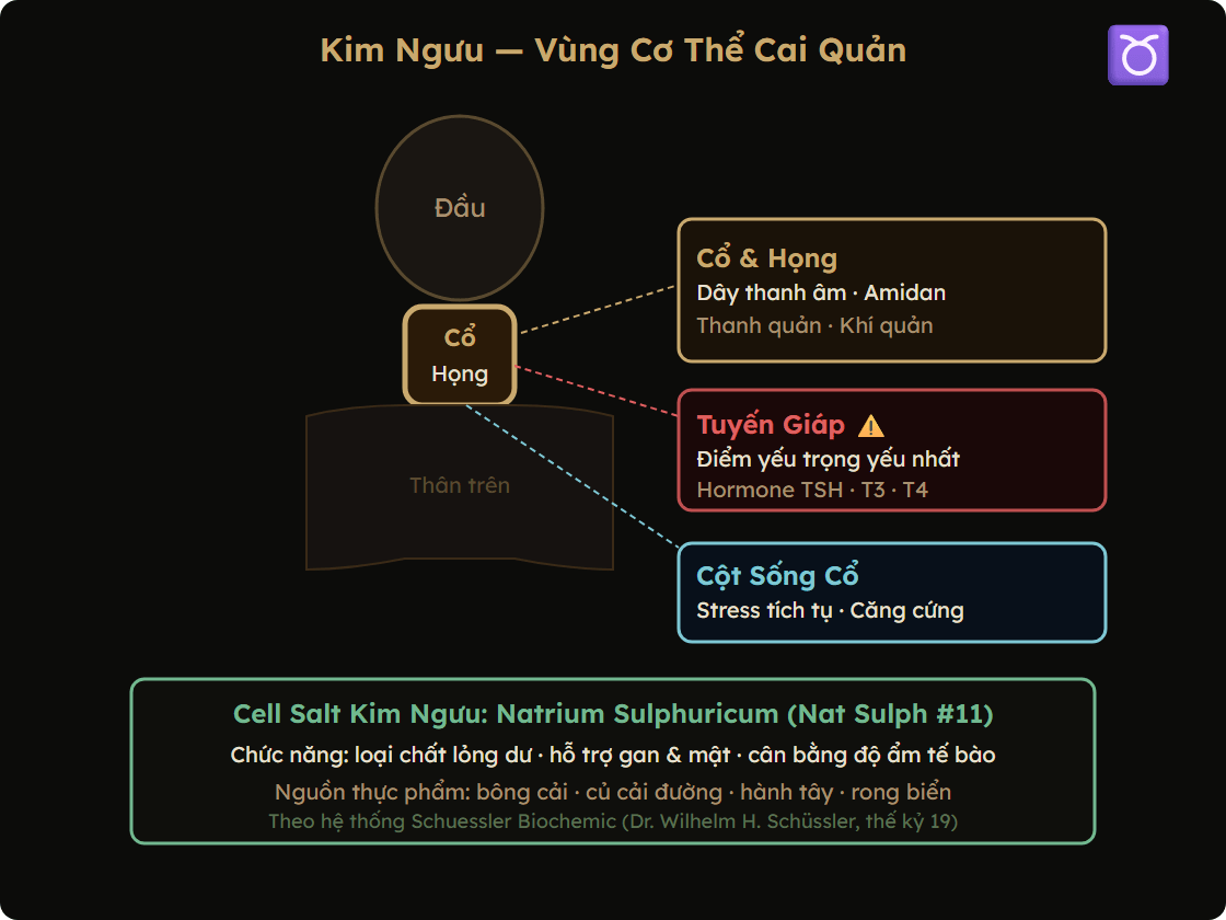 Bảng tương hợp tài chính Kim Ngưu với các cung khác — điểm mạnh và điểm yếu