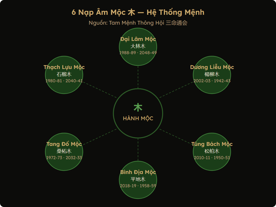 6 Nạp Âm Mộc — Hệ thống mệnh Đại Lâm Mộc, Dương Liễu Mộc, Tùng Bách Mộc, Bình Địa Mộc, Tang Đố Mộc, Thạch Lựu Mộc