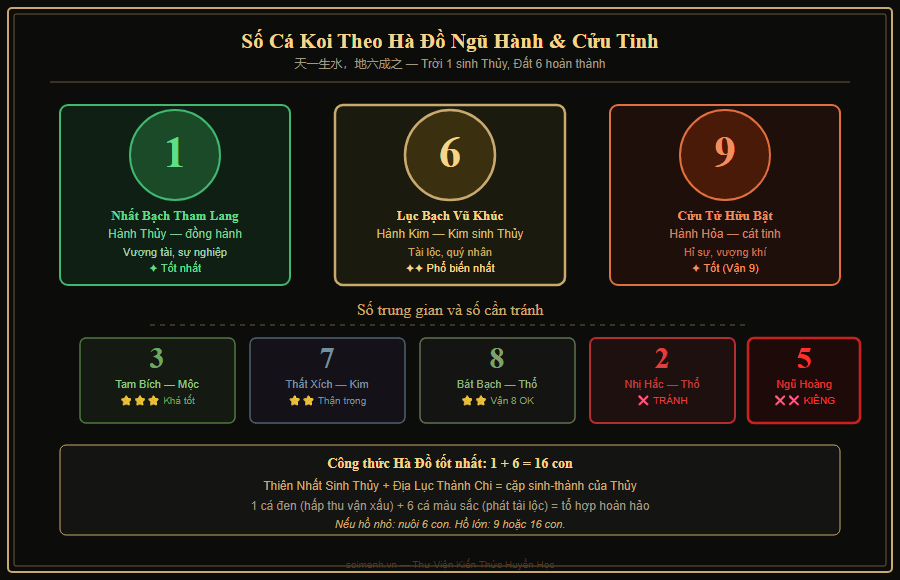 Sơ đồ số cá Koi theo phong thủy — 1, 6, 9 con theo Hà Đồ và Cửu Tinh