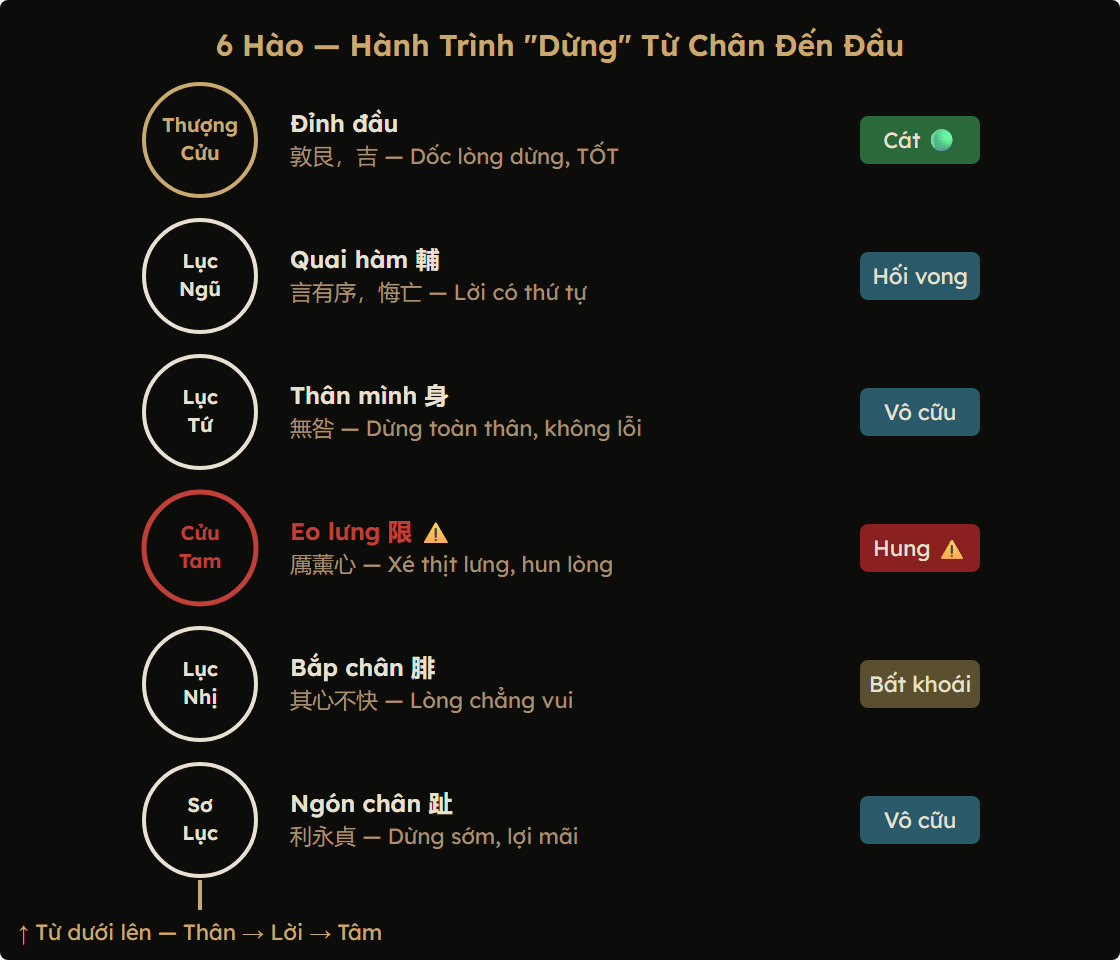 Sơ đồ 6 hào quẻ Cấn tương ứng 6 bộ phận cơ thể