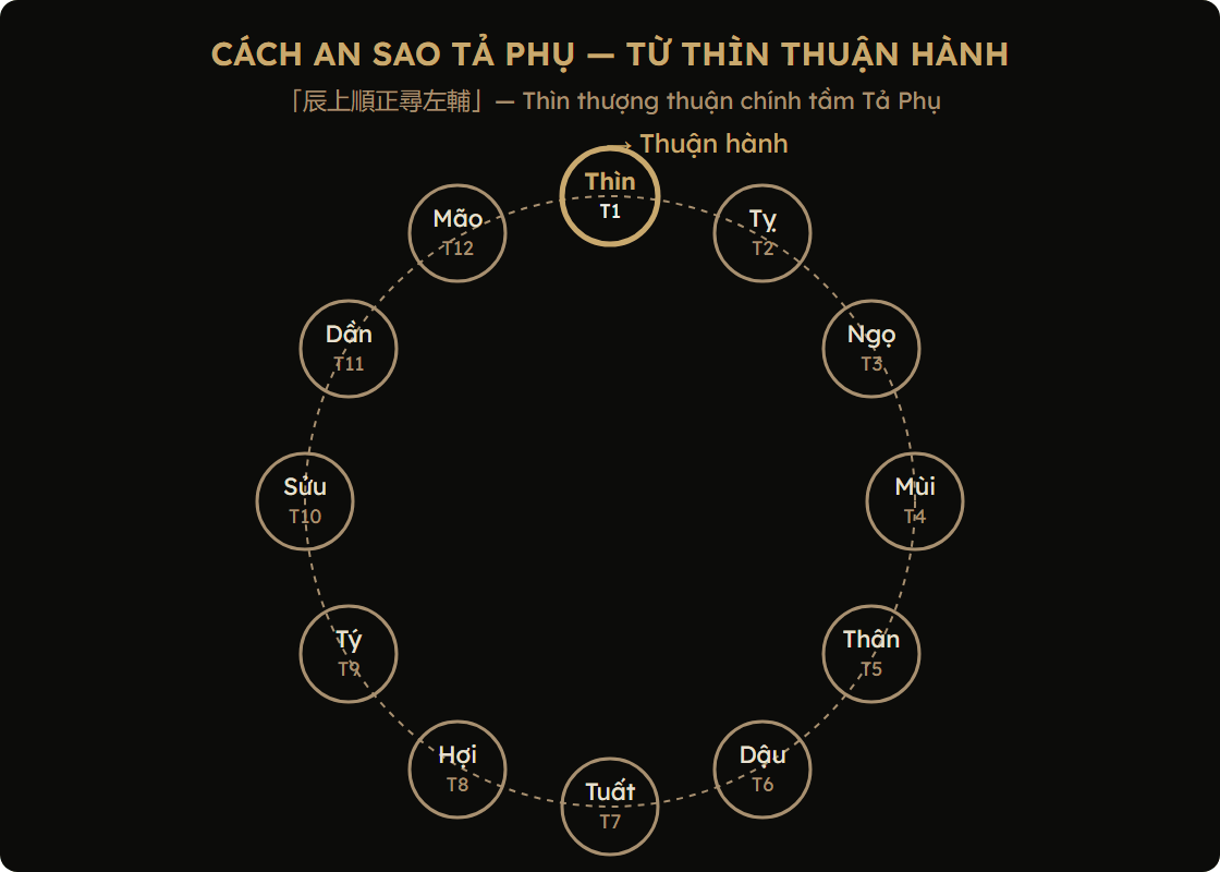 Sơ đồ cách an sao Tả Phụ — vòng tròn 12 cung từ Thìn thuận hành